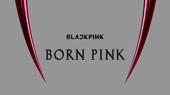 Born Pink album Cover