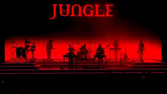 Jungle (Singles) album Cover